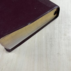 NIV Prophecy Marked Reference Study Bible Bonded Leather 1999 Zondervan