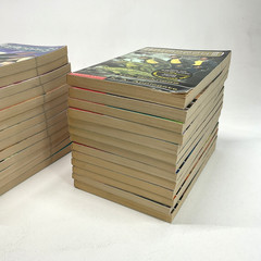Animorphs Books Lot 42 Vintage Series Set & Megamorphs Applegate 90s Scholastic