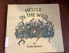 Hester in the Wild Sandra Boynton 1979 Hardcover Harper Row 1st Edition Vtg