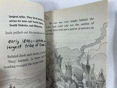 Lot of 3 Magic Tree House Books: # 10, #18, #26