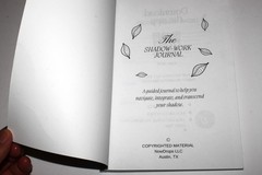 The Shadow Work Journal : a Guide to Integrate & Transcend Your Shadows (2023)