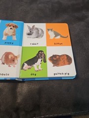 2011, „First 100 Animals” by Roger Priddy Children’s Board Book