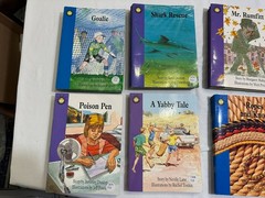 The Wright Group Fluency Lot 14 Sunshine Reader Books Teacher Homeschool