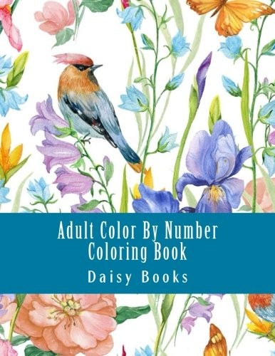 ADULT COLOR BY NUMBER COLORING BOOK: JUMBO BIG COLORING BY By Daisy Books *NEW*