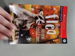 Animal Antics First Grade Reader Box Set: Scholastic Box or Slipcased