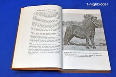 1959 The Shetland Pony 1st Ed L Frank Bedell HC Rare Vintage Horse Care Guide