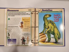 Dinosaur Cards By Newfield Publication 1994. 3 Ring Binder and 83 Pages/Inserts