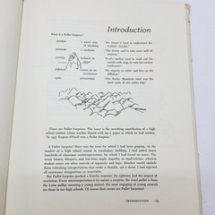 Humorous Language Book – Pullet Surprises – Amsel Greene 1970 Sultana Press