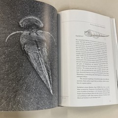 Fossils of the Burgess Shale HC DJ Collier, Erwin & Briggs 1994 Smithsonian Good