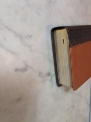 HCSB Large Print Compact Red Letter Bible Brown/Tan LeatherTouch by Holman