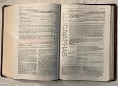 NLT Life Application Study Bible Bonded Leather Burgundy Red Letter Tyndale 1996