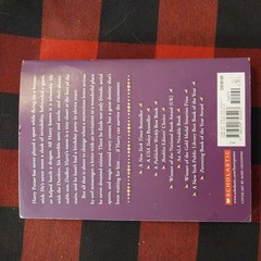Harry Potter Ser.: Harry Potter and the Sorcerer’s Stone by J. K. Rowling (1998,