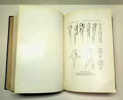 American Indian Ethnology Twenty Fifth 25th Annual Report 1903-1904