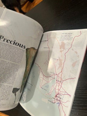 Australian Age Of Dinosaurs Journal Issue 16 Softcover magazine. 2019