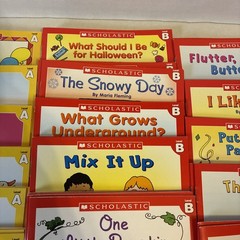 Little Leveled Readers by Scholastic Kids Books Lot Of 100+ Plz Read