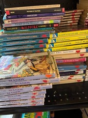 Lot of 30 RANDOM YOUTH Kids Chapter Books Instant Library Bundle