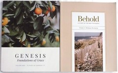 Lot of 4: The Daily Grace Co BEHOLD, GENESIS, 40 DAYS WITH JESUS, DAUGHTERS OF G