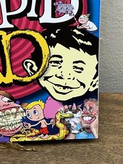 Amazingly Stupid MAD Expanded Edition – Hardcover – VERY GOOD~9.4 ~2012