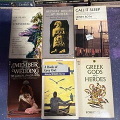 Lot of 38 Classic Paperback Literature Book Mix Signet Bantam Dante Dickens…