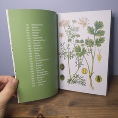 Herbal Handbook by New York Botanical Garden (Illustrated)