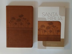 Santa Biblia Clasica Edicion Especial Ocre RVR 1977 Grupo Nelson 9781602552593