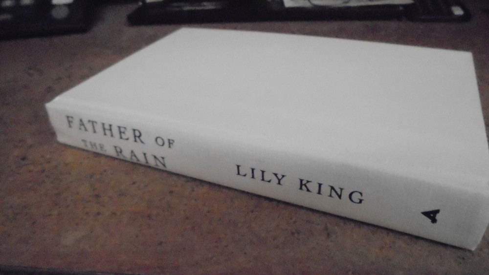 Father of the Rain by Lily King (2010, Hardcover