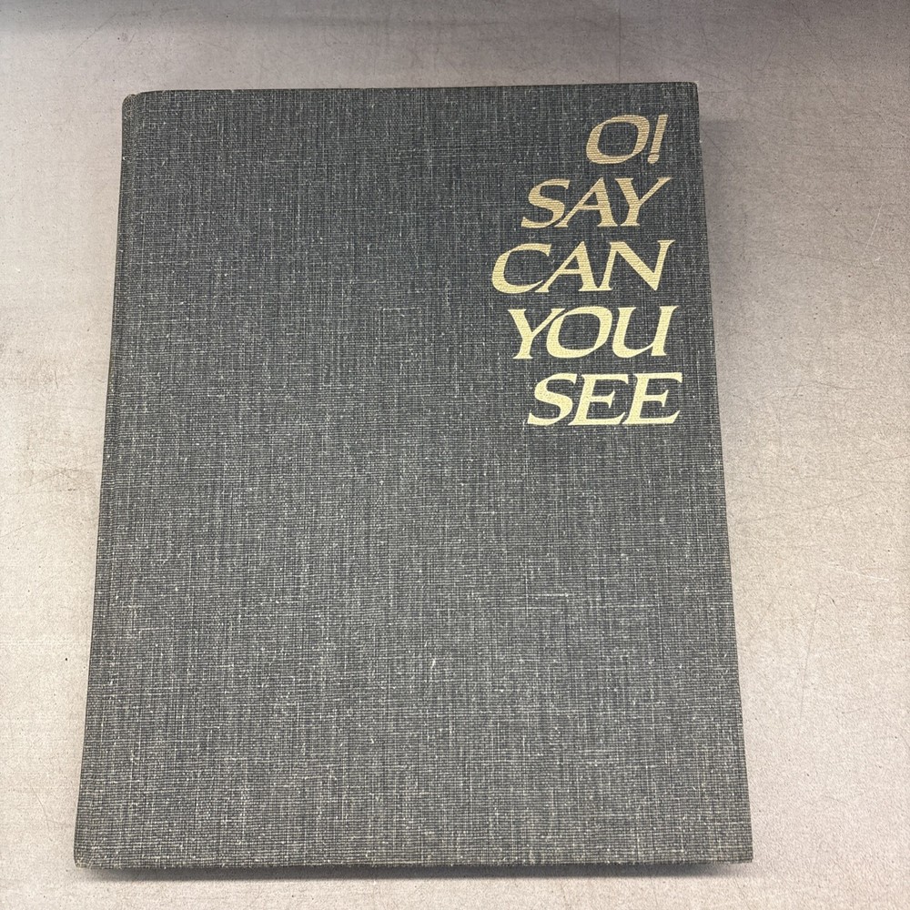 O! Say Can You See : The Story of America Through Great Paintings