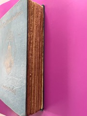 THE BLUE ROSE FAIRY BOOK by Maurice Baring, 1911, First Edition, illustraed RARE