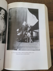 Hitler: 1889-1936 Hubris, Kershaw, Ian, 9780393320350