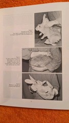 Beynon & Cooper, MANUAL OF EXOTIC PETS, 1994, PB, BSAVA, 312 Pages, ISU Press