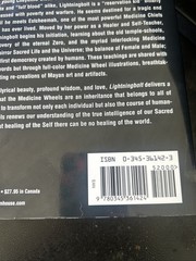 Lightningbolt by Hyemeyohsts Storm (1997, Trade Paperback)