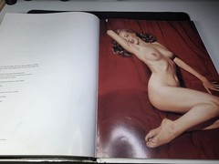 Playboy: the Celebrities by Hugh Hefner (2006, Hardcover) MISSING PAGES ⚠️