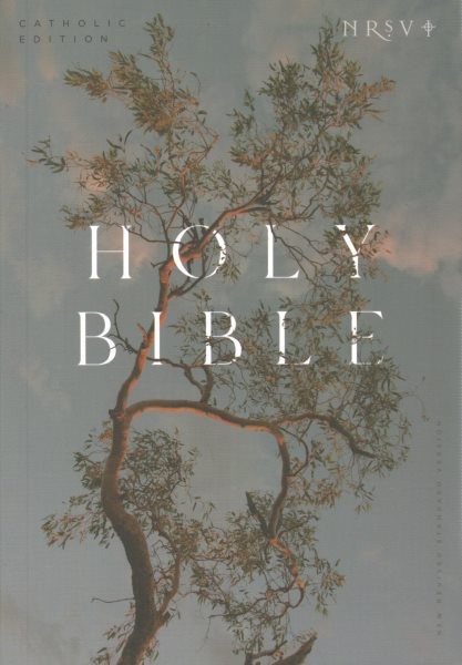 Holy Bible : New Revised Standard Version, Eucalyptus, Global Cover Series, C…