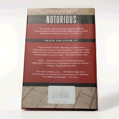 Notorious by Michele Martinez, HarperCollins 2008 HC 1st Ed w/ Dust Jacket