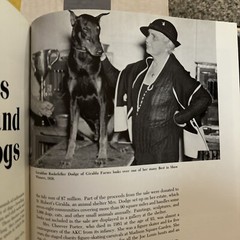 The Akc’s World Of The Purebred Dog Hardcover 1983. 344 Pages