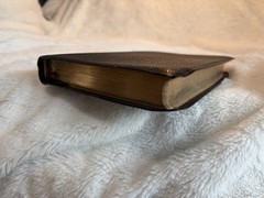 1967 NEW SCOFIELD REFERENCE BIBLE/Black Morocco Leather