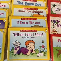 Little Leveled Readers by Scholastic Kids Books Lot Of 100+ Plz Read