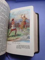 Vintage Holy Bible French Morocco Leather Holman King James Version KJV