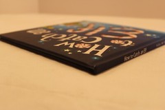 How to Catch an Elf (2016, Hardcover) by Adam Wallace & Andy Elkerton