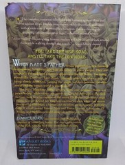Elf Realm Book #1: The Low Road – By Daniel Kirk. Paperback; 498 Pages.