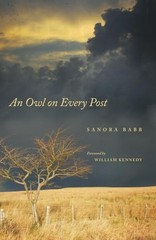An Owl on Every Post, Babb, Sanora
