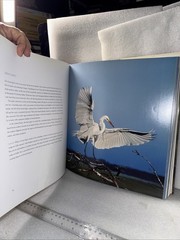 Waterbirds by Theodore Cross