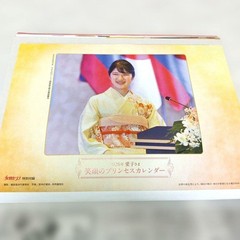 Josei Seven January 1, 2026 Issue: Includes ACEes poster and Princess Ai #QYCVTC