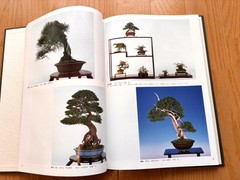 Nihon Bonsai Taikan Ten 17, 18th Set Exhibition Japanese Art Photobook used JPN
