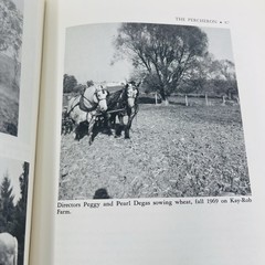 Gentle Giants Story of Draft Horses Stanley M. Jepsen 1973 HC 2nd Print Photos