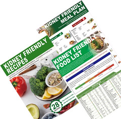 Set of 3 Kidney Friendly Food List Chart, Renal Diet Meal Plan & CKD Stage 3