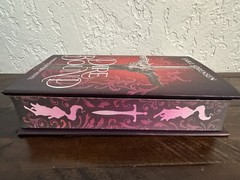 Dire Bound (Deluxe Limited Edition) by Sable Sorensen (English) Hardcover Book