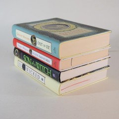 Wicked Years by Gregory Maguire – All 4 original Hardcover Books – Out of Oz ++