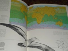 Ocean Birds Lars Lofgren 1984 HC/DJ 1st Edition Orinthology SEABIRDS Textbook