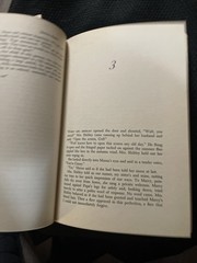 An Owl on Every Post By Sanora Babb RARE 1st Edition HC DJ 1970 Great Condition